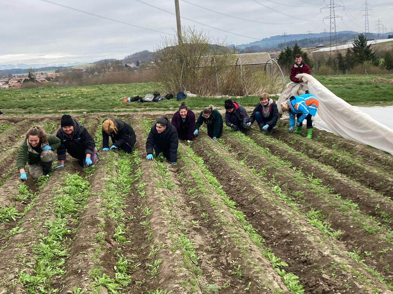 Producteurs Christen Seeland