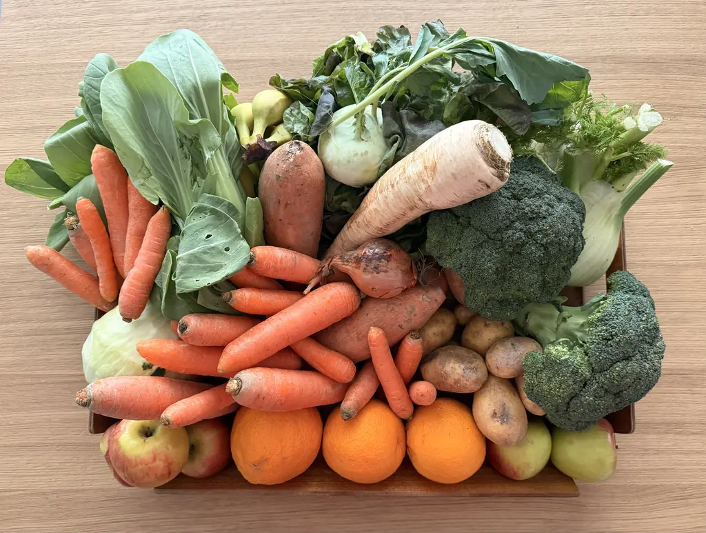 Fresh organic vegetables from farm to table