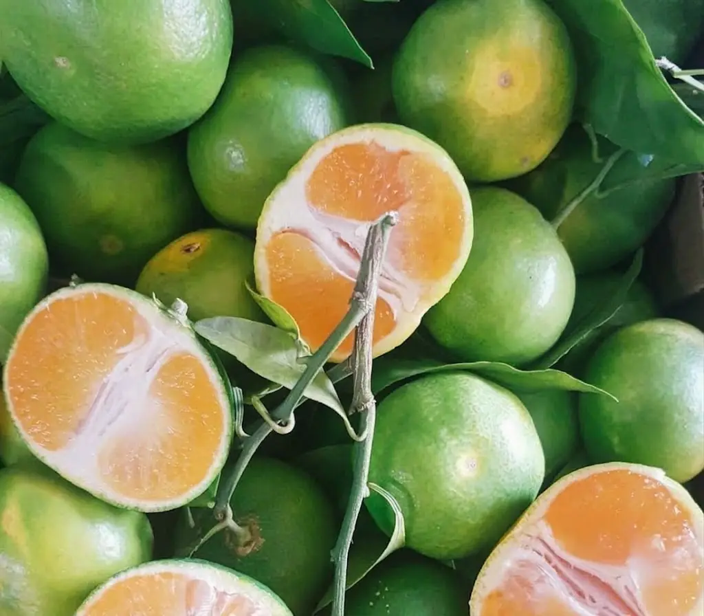 Mandarines siciliennes bio 