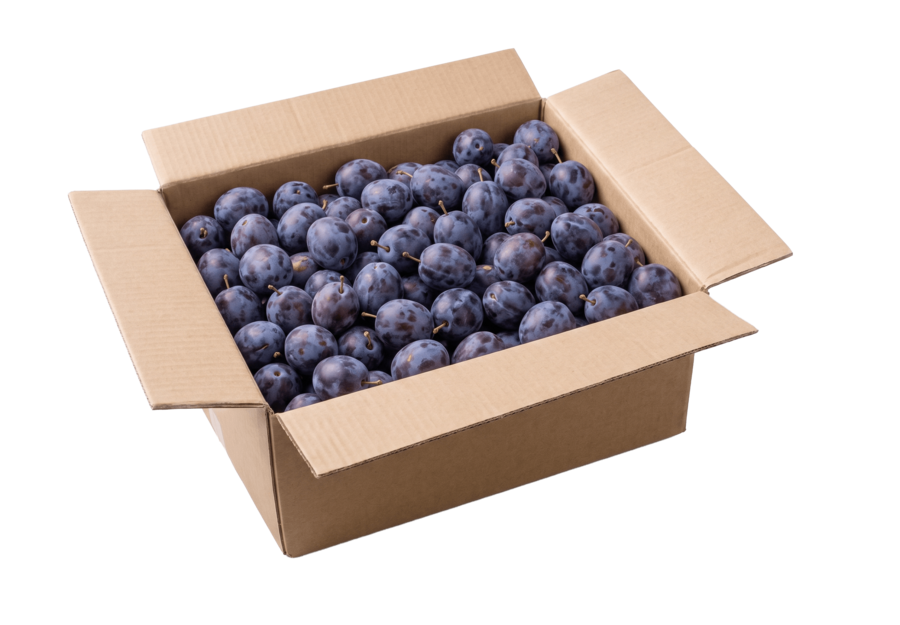 6 kg Fellenberg plums, organic