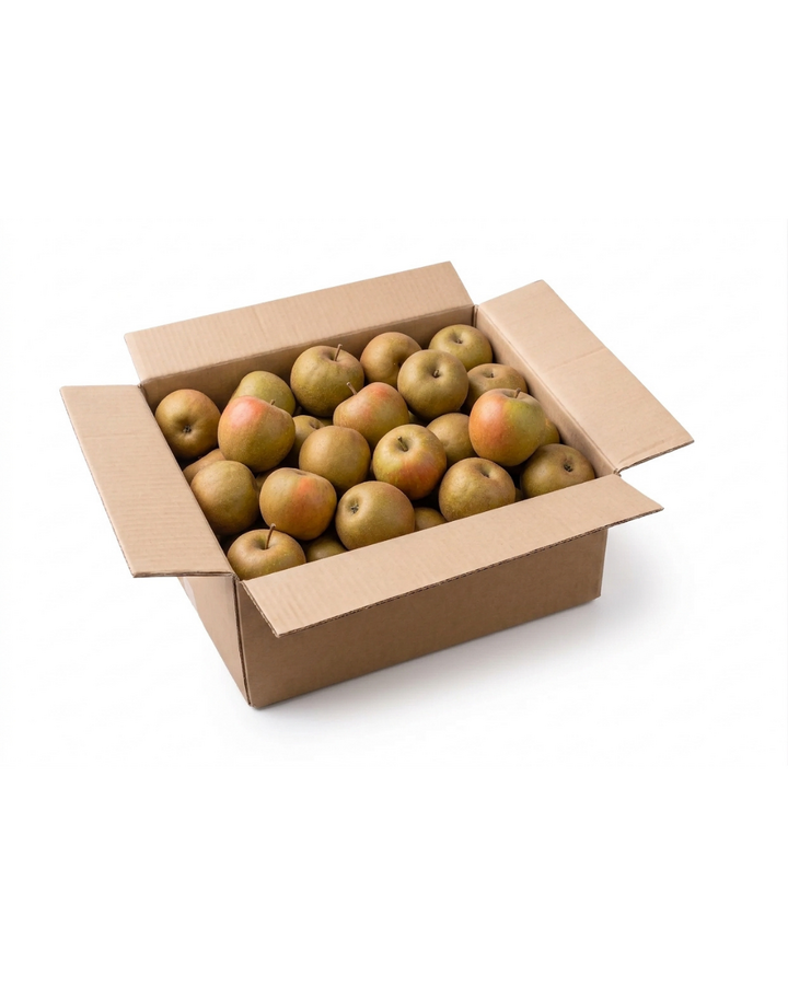 Carton de pommes Canada BIO – 8kg