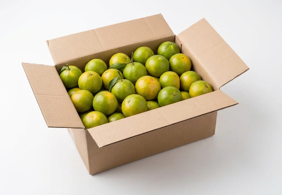Carton de mandarines Satsuma BIO – 6kg